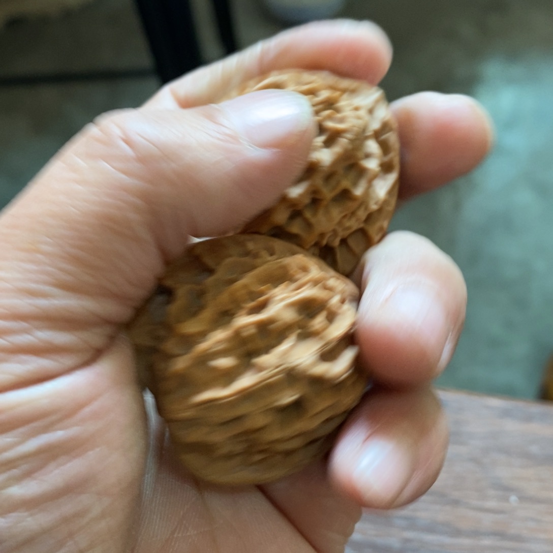 秦岭南侧和东北北部部分