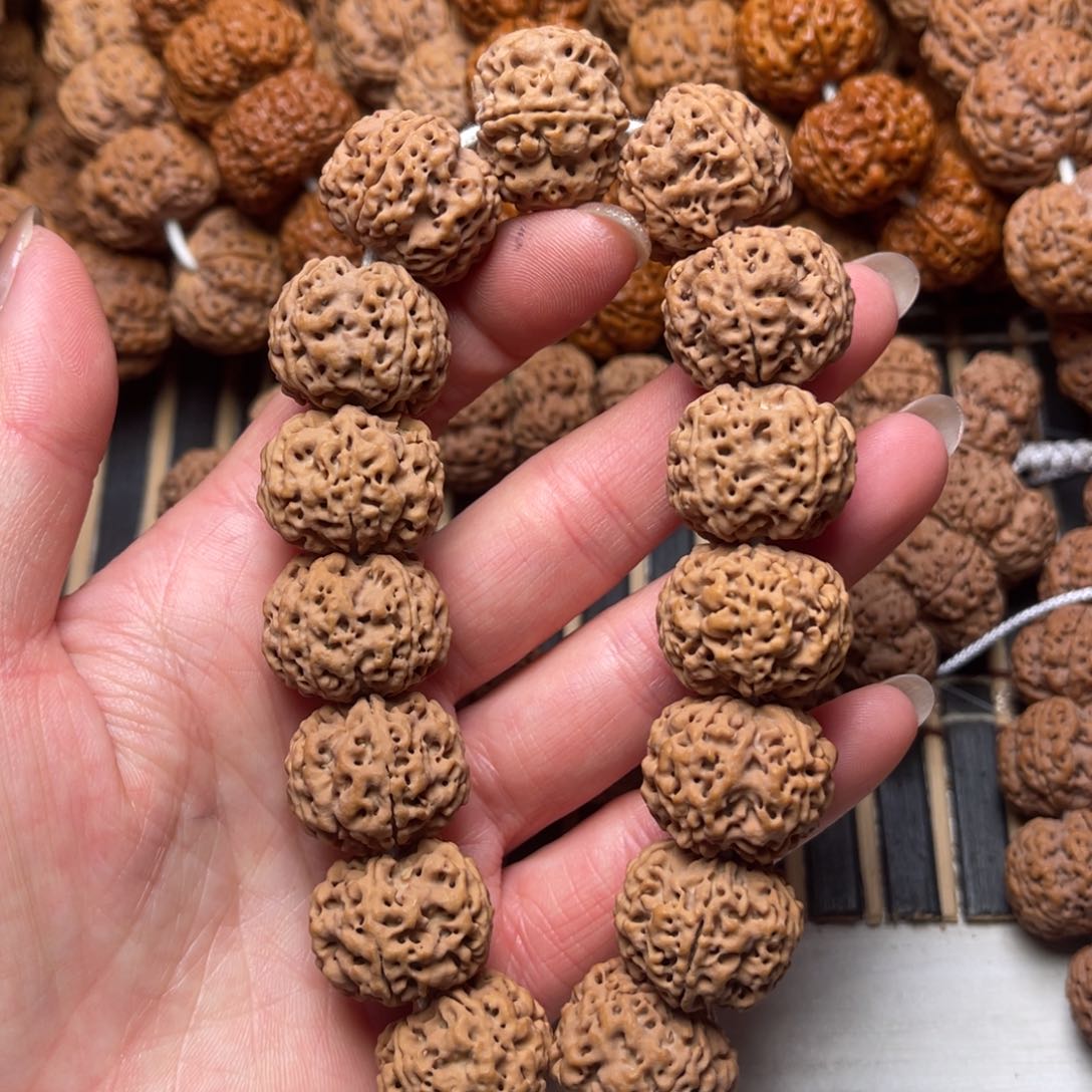 菩提19号尼泊尔大金刚原生态豆腐块21