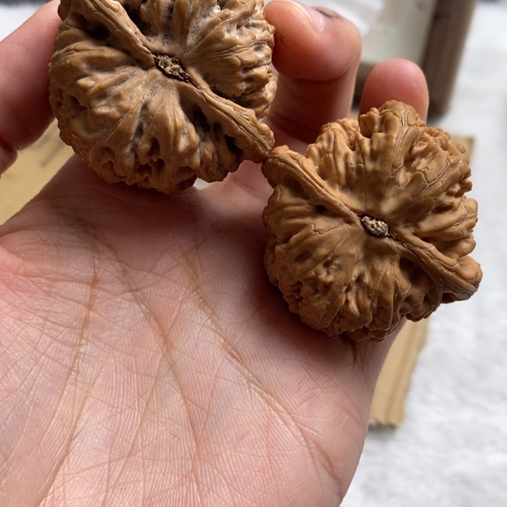 文玩核桃吊坠柳***客粗筋