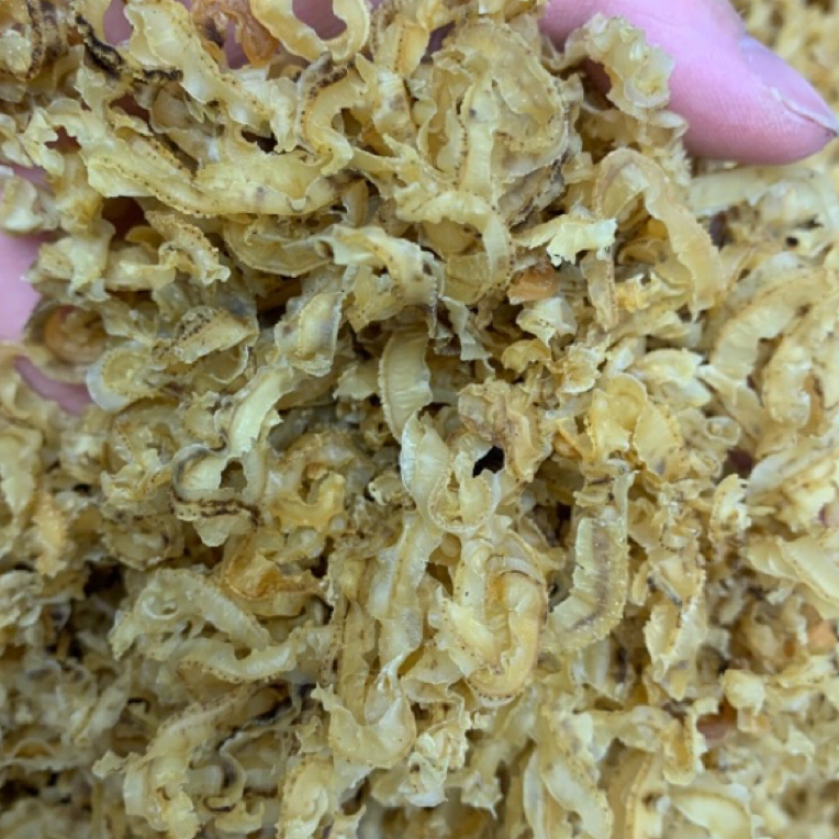 【小宝总专线】本港鲍鱼裙边淡晒无杂质凉拌辣炒做汤海鲜干货