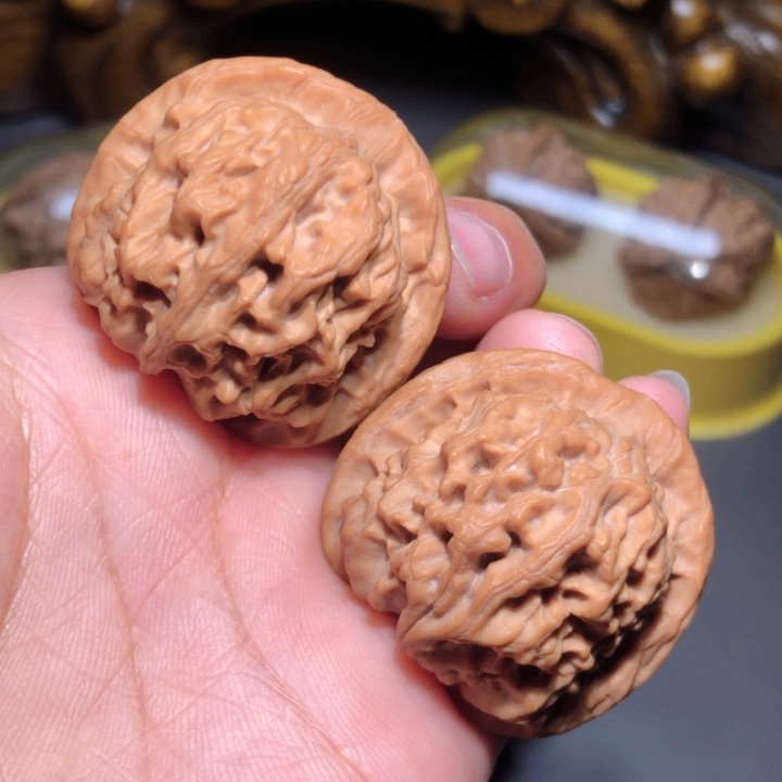 文玩核桃把件37.5天地狮子头