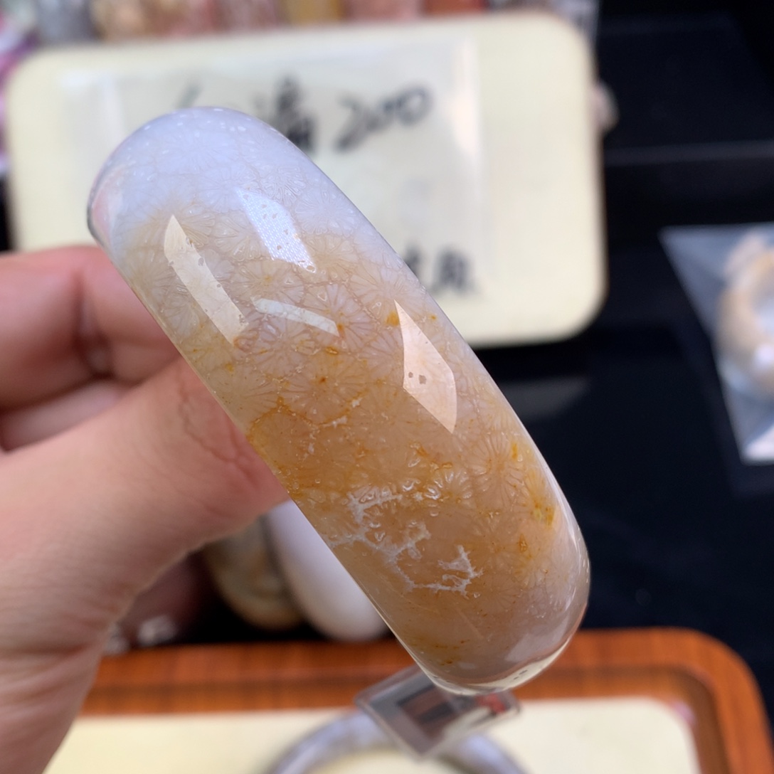 硅化珊瑚（珊瑚玉）未镶嵌颈饰103号骨骼荷叶花58圈