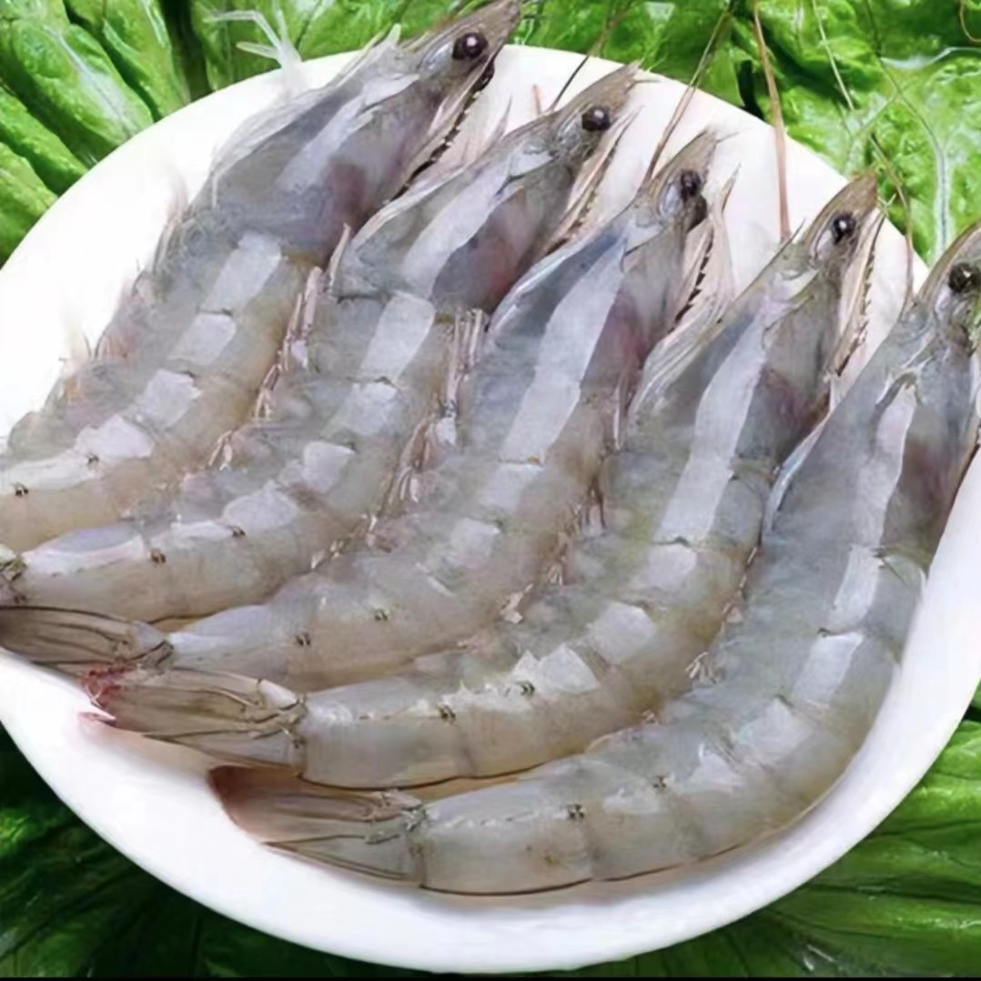 2030大大号海洋大虾13-16cm左右新鲜活虾锁冻5斤 顺丰冷冻发货jx3