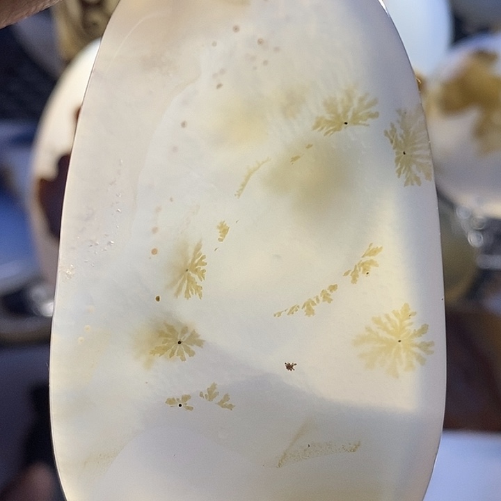 未镶嵌颈饰玛瑙/玉髓华*