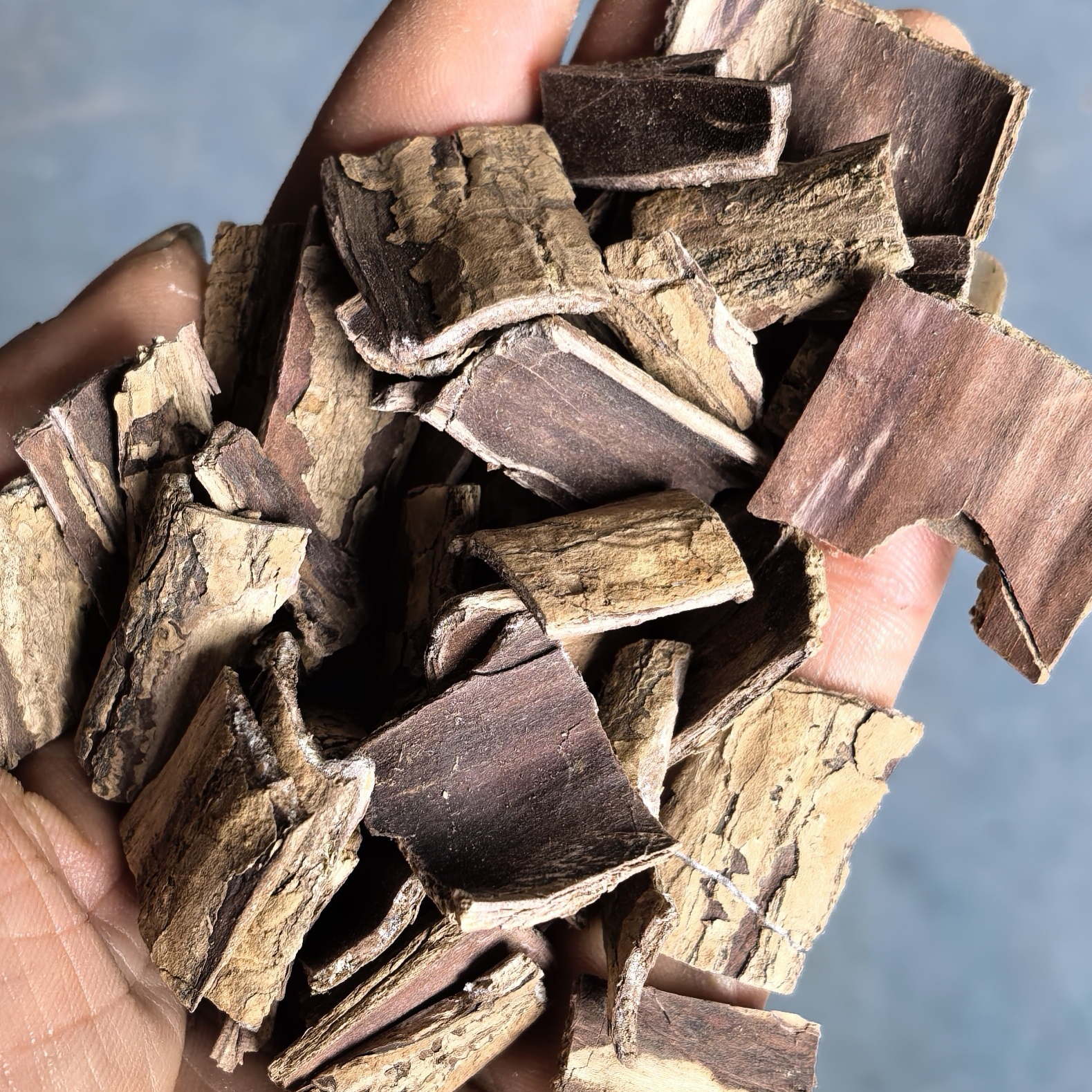 深山老树杜仲可煲汤泡茶泡酒的中药材正品
