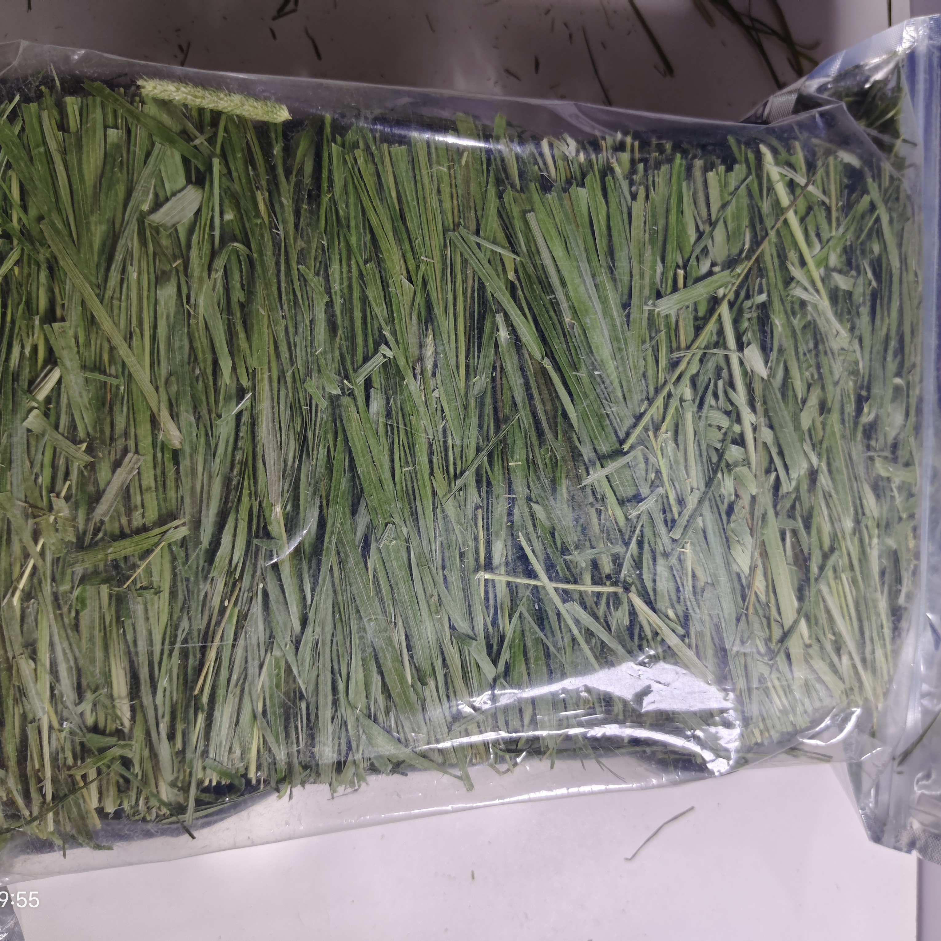烘干提摩西草切段有穗杆叶均衡适合兔子豚鼠龙猫食用