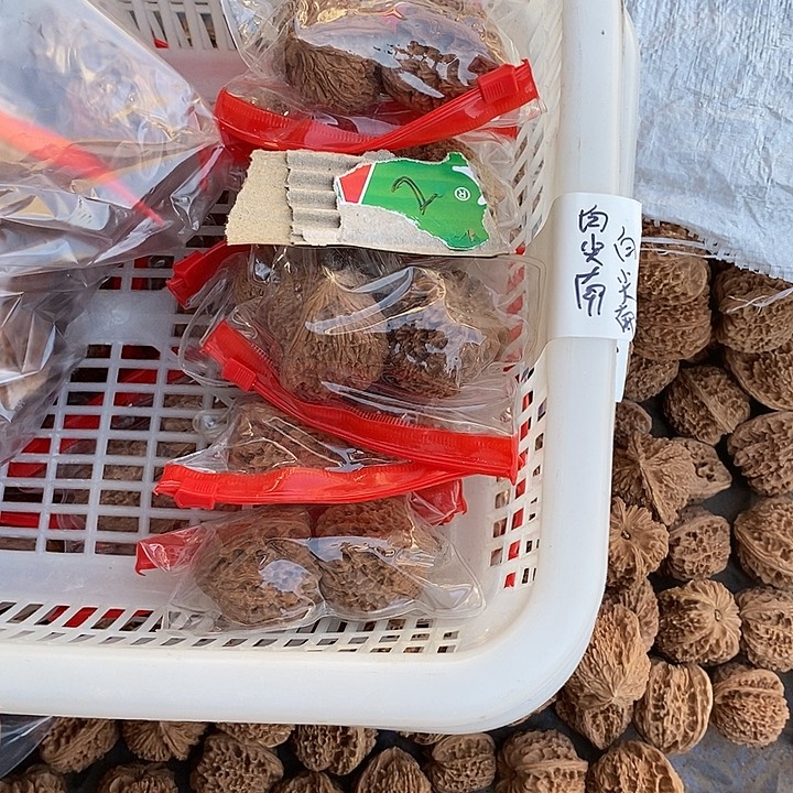 文玩核桃吊坠七对南