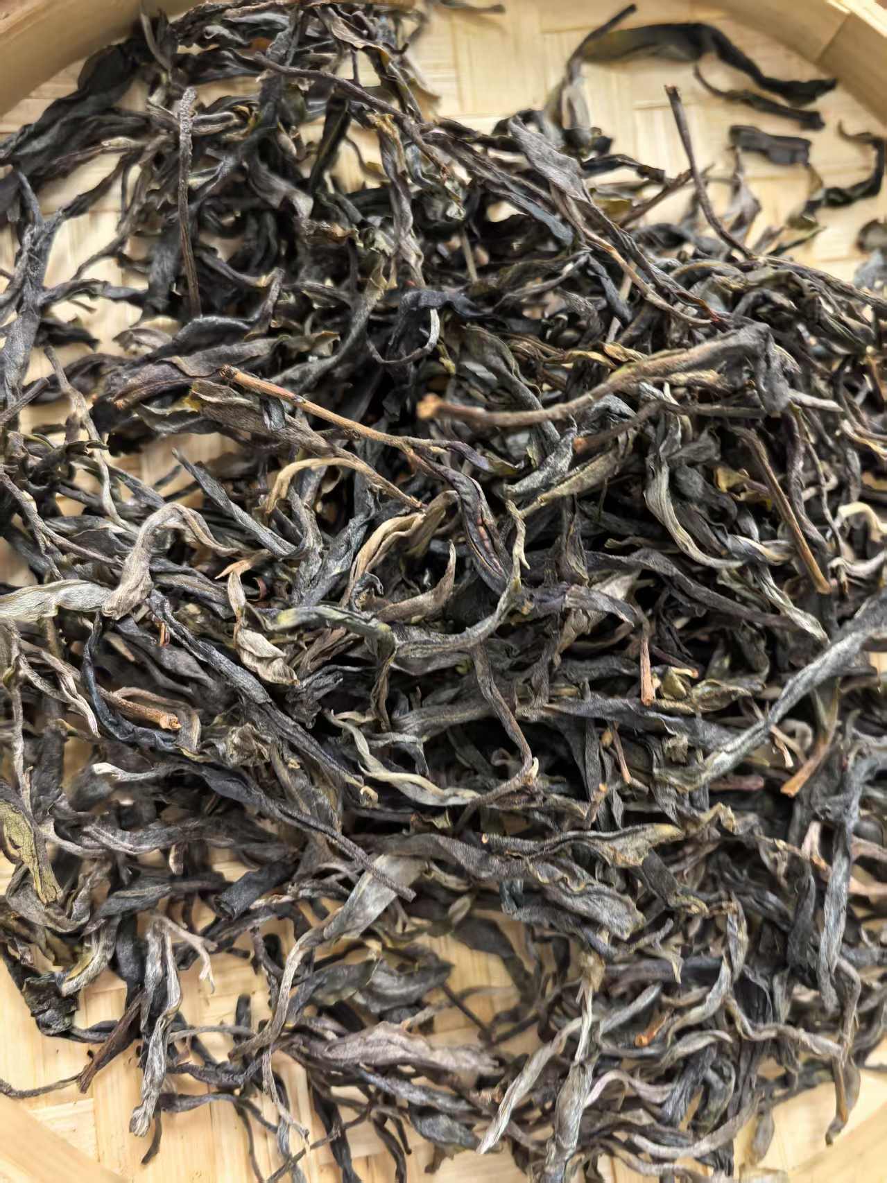 2025年大户赛古树混采春茶普洱生茶