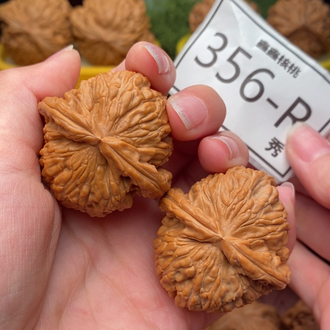 文玩核桃把件白狮42