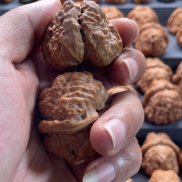 文玩核桃吊坠固***星蛤蟆42