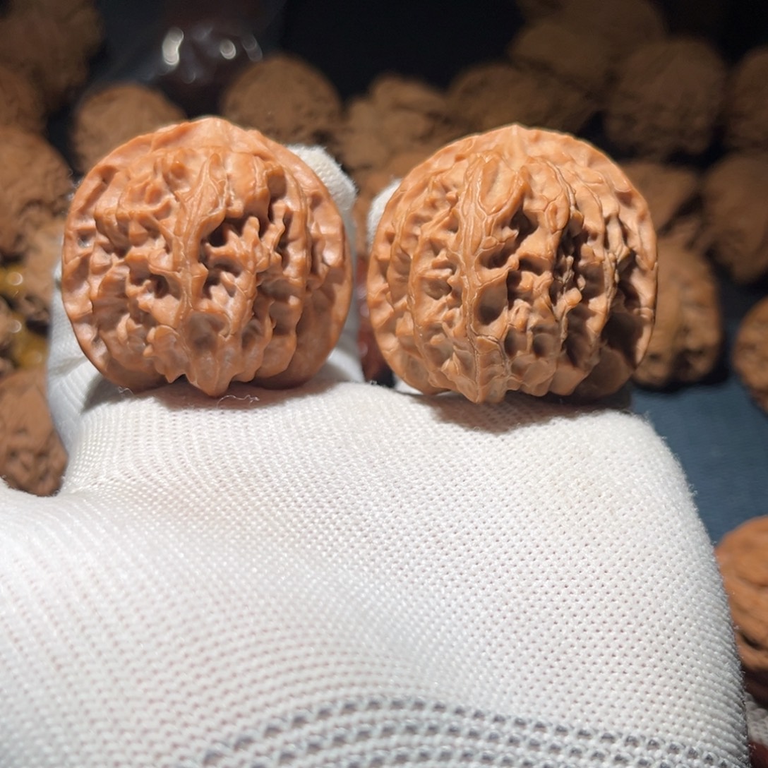 核桃41球体苹果园毕业