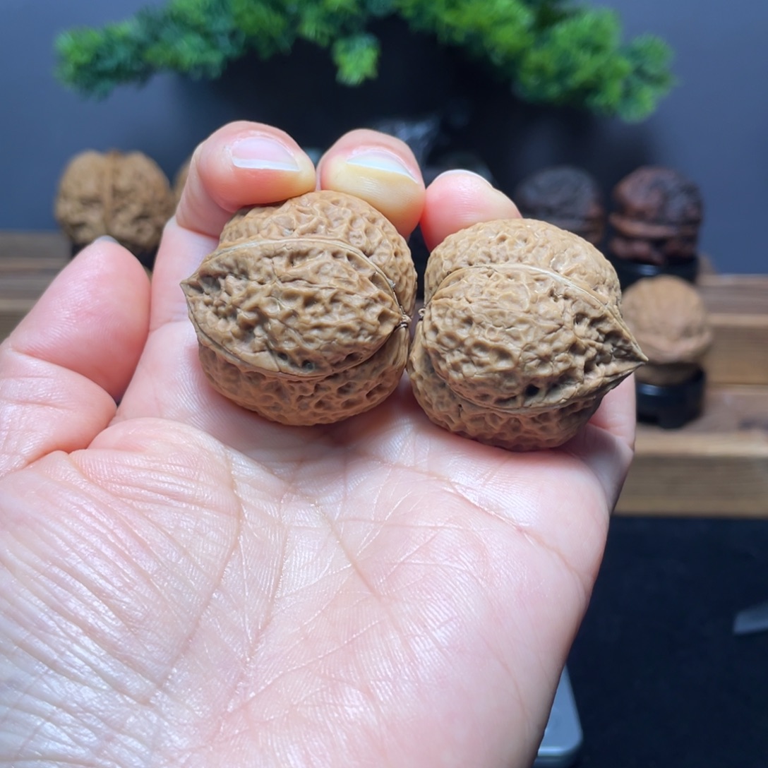 把件文玩核桃云南铁核桃21