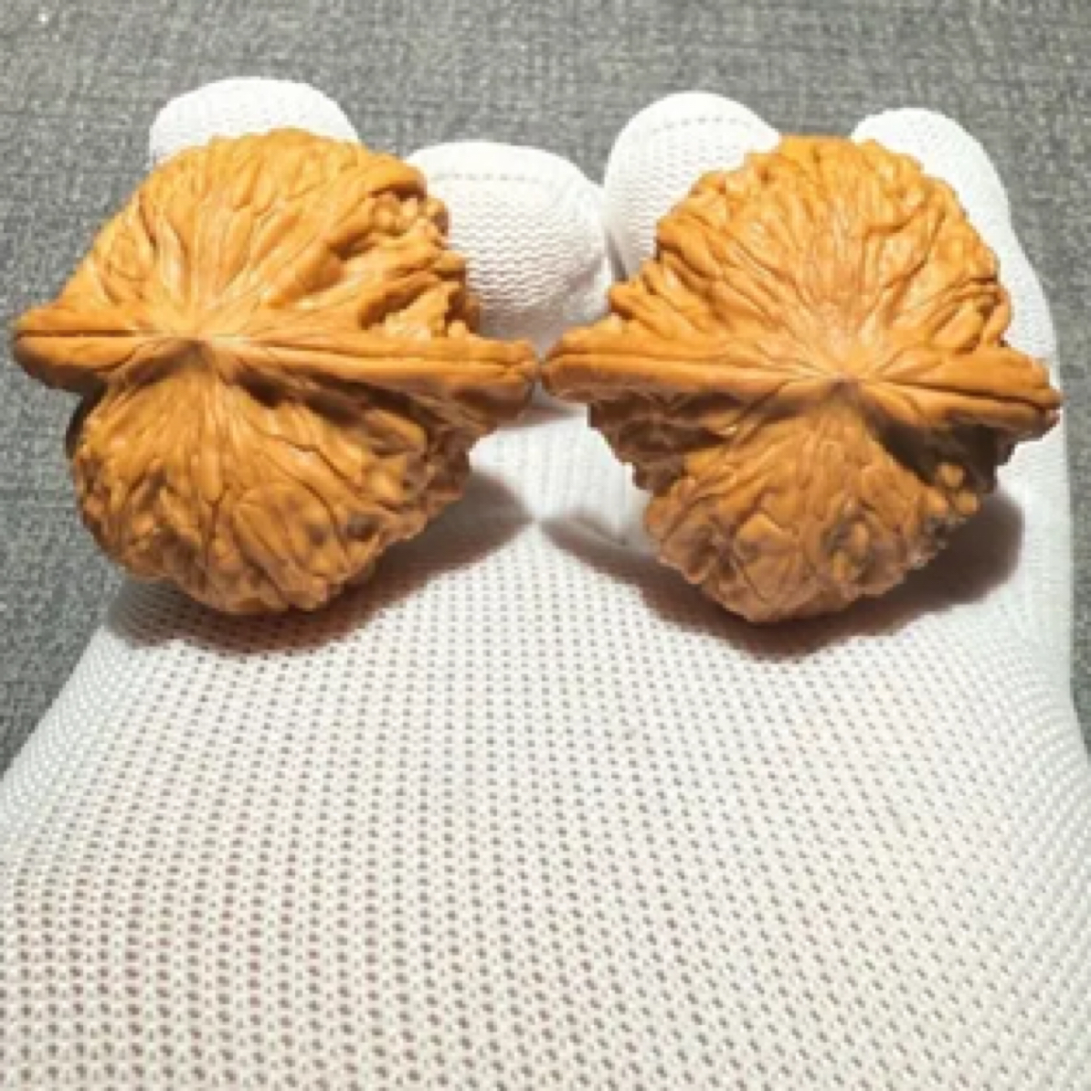 A28号山地正磨磨盘、全品无修、圆润饱满精品尺寸边42肚40高34