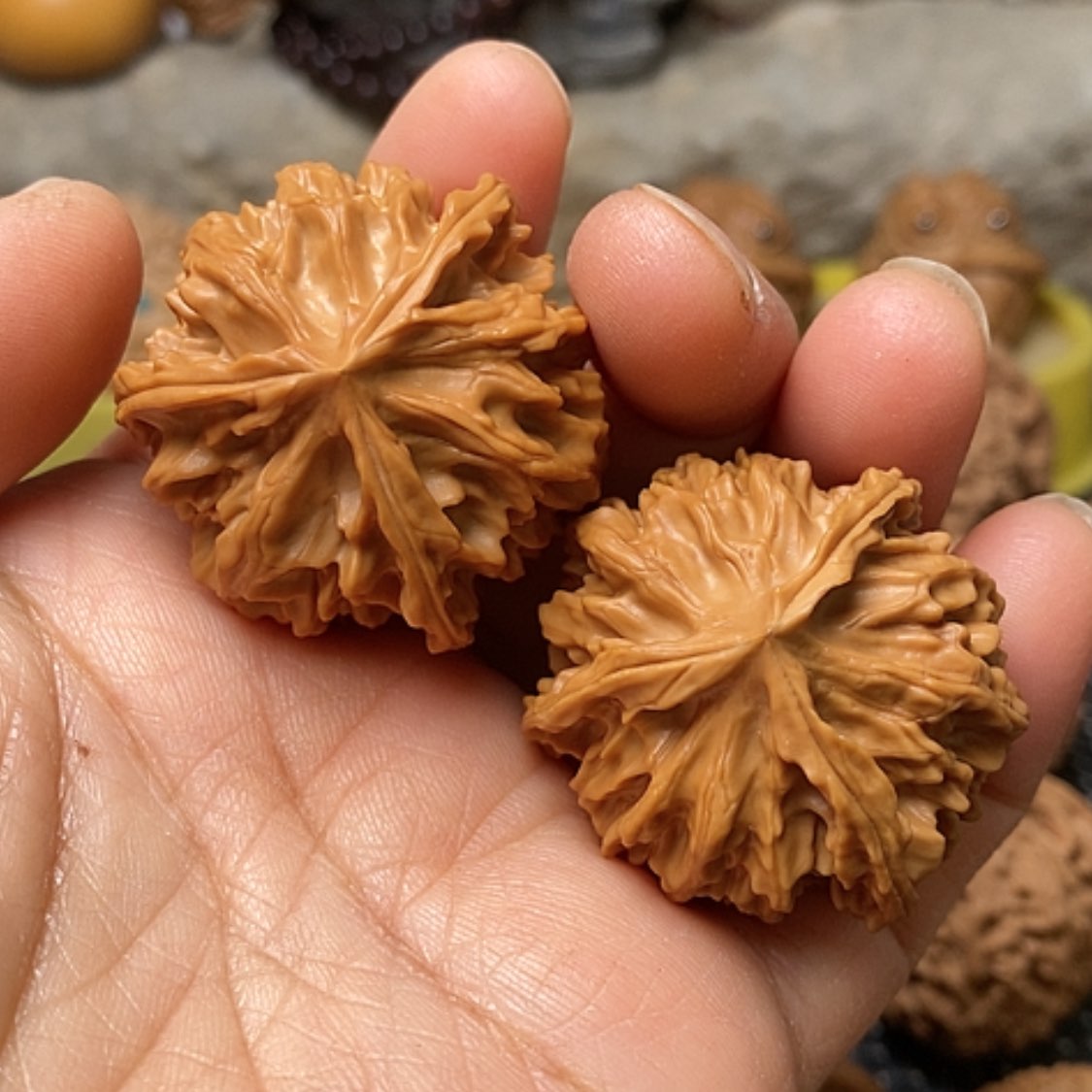 【闪购商品】把件文玩核桃三棱全品37