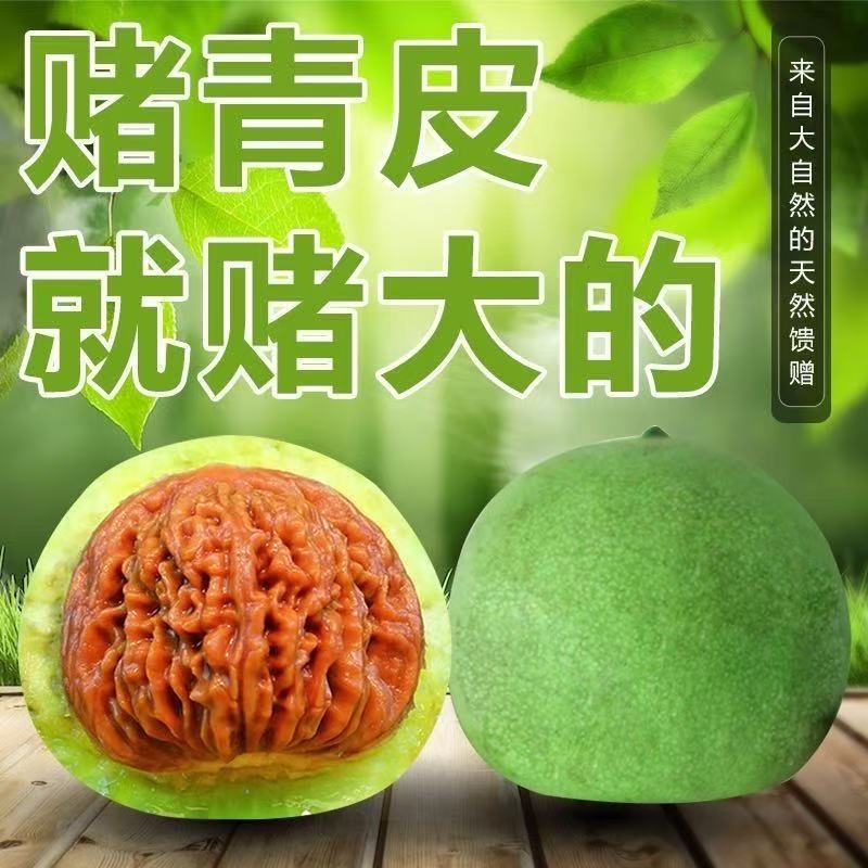 四座楼青皮--文玩核桃--同树果配对高