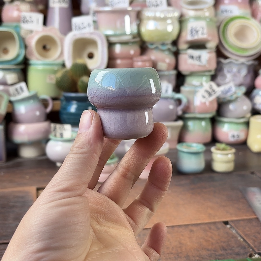 量货/3口高4深浅搭配发12