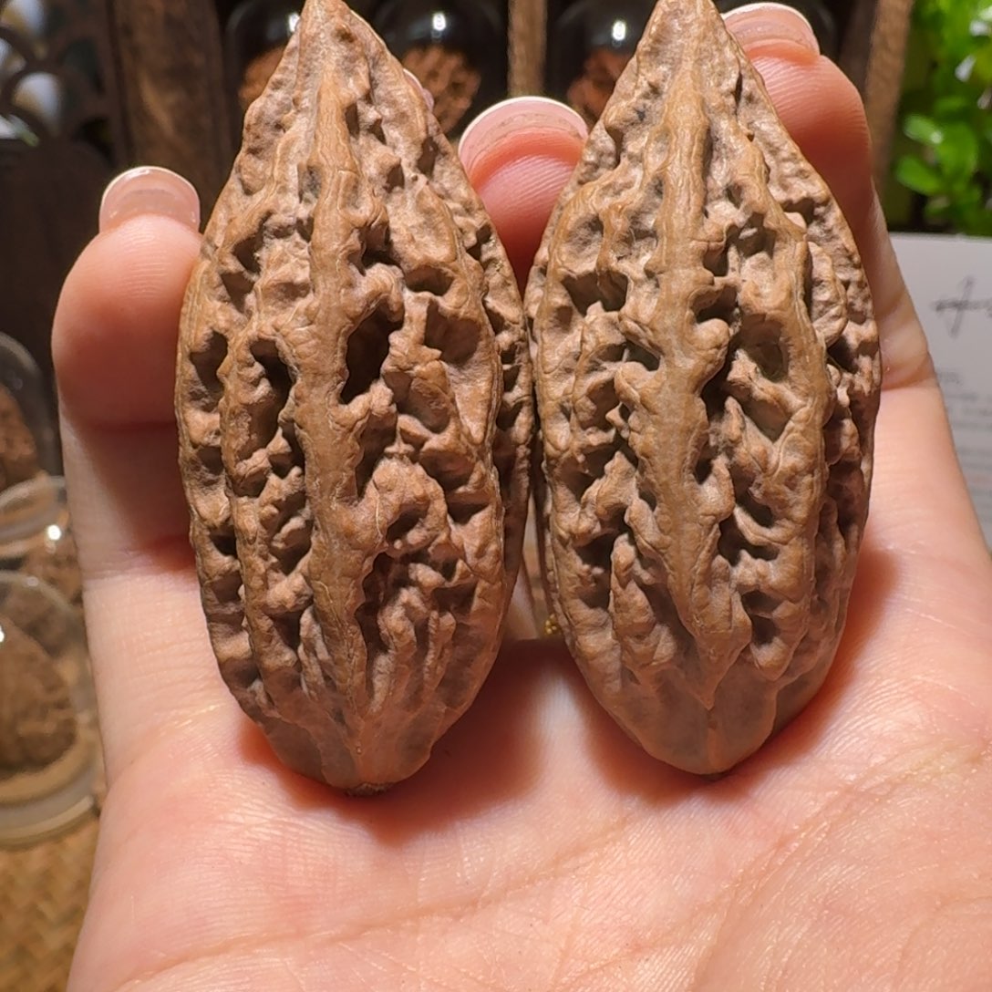 文玩核桃把件黑金柳叶