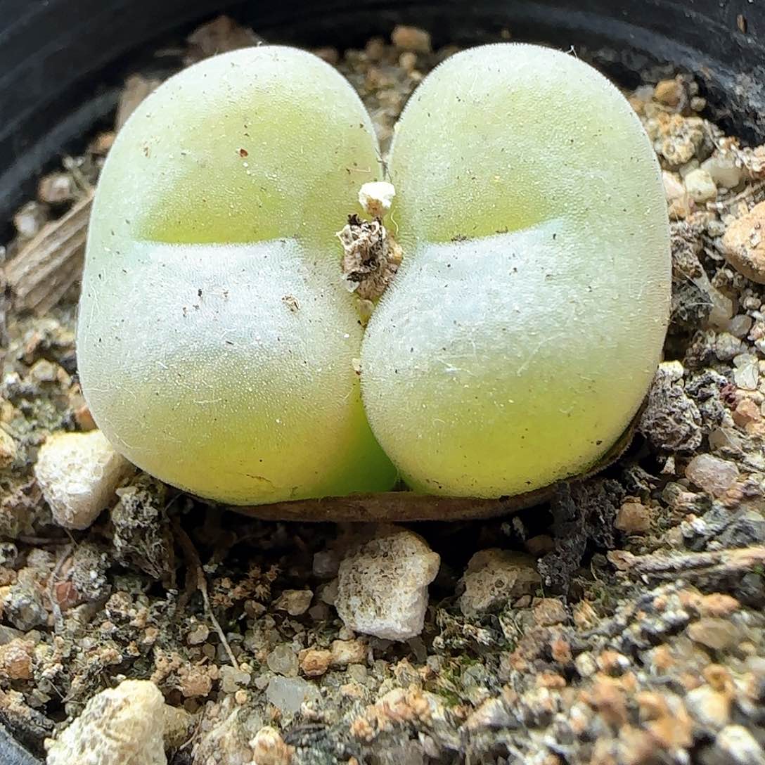 老板娘跑了，大甩卖43459