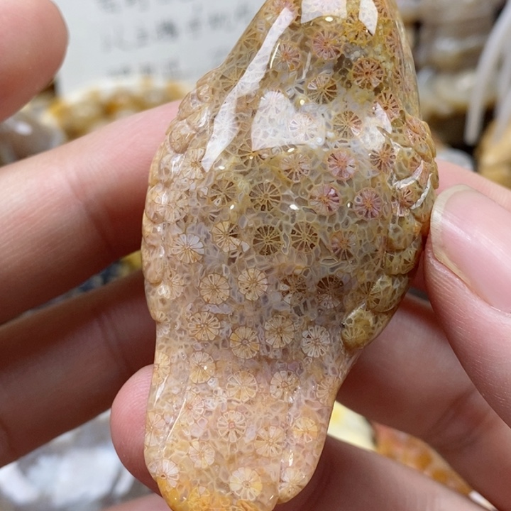 硅化珊瑚（珊瑚玉）颈饰未镶嵌