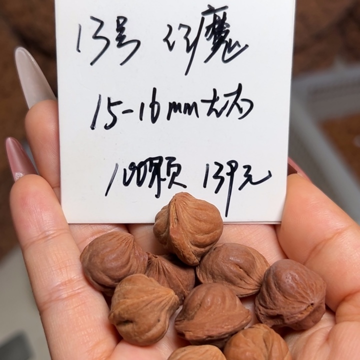 桃核手串雕刻料肚卡15-16 100颗