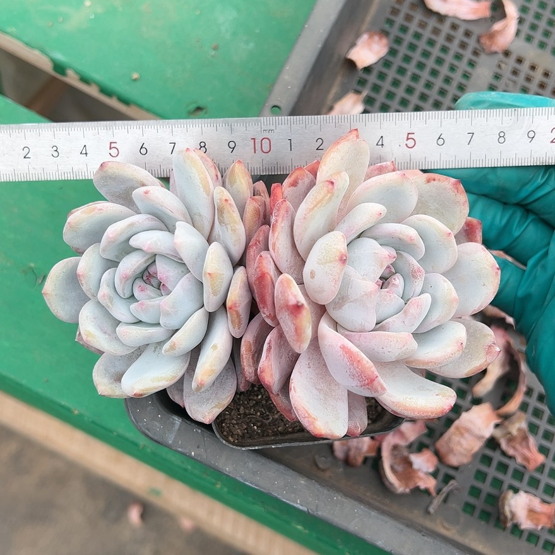 fjgnbnbbbbbbbbbbbbnnn