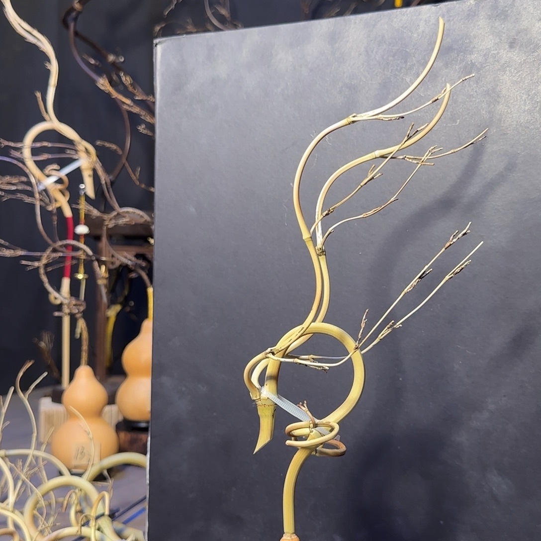 ʚ****精品葫芦➕龙头一套