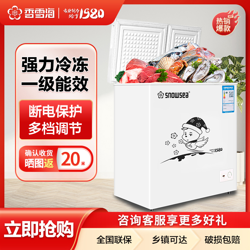 双温冰柜冰柜家用小型冷冻柜小冰柜家用冰柜两用冷藏冷冻