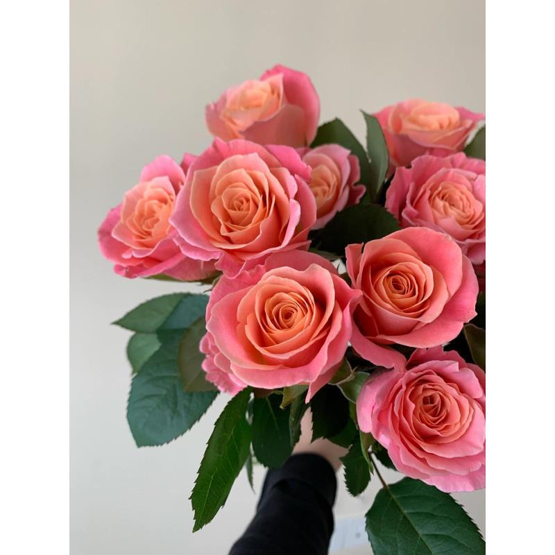 x【朱小姐】雪姐专属  一单中通两单升级顺丰/德邦+保鲜剂5包+配草