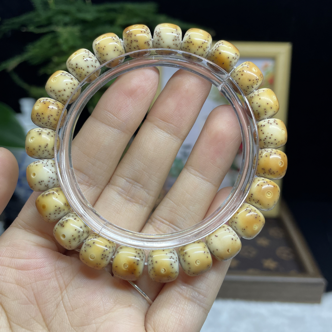 海南原生态星月菩提石玉料糯冰10/9火烧云一线天文玩好物