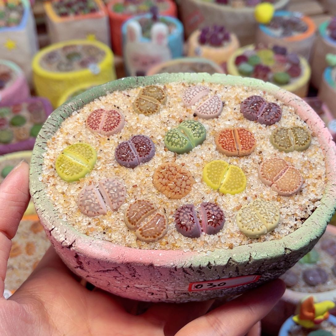 030。88888888888888888