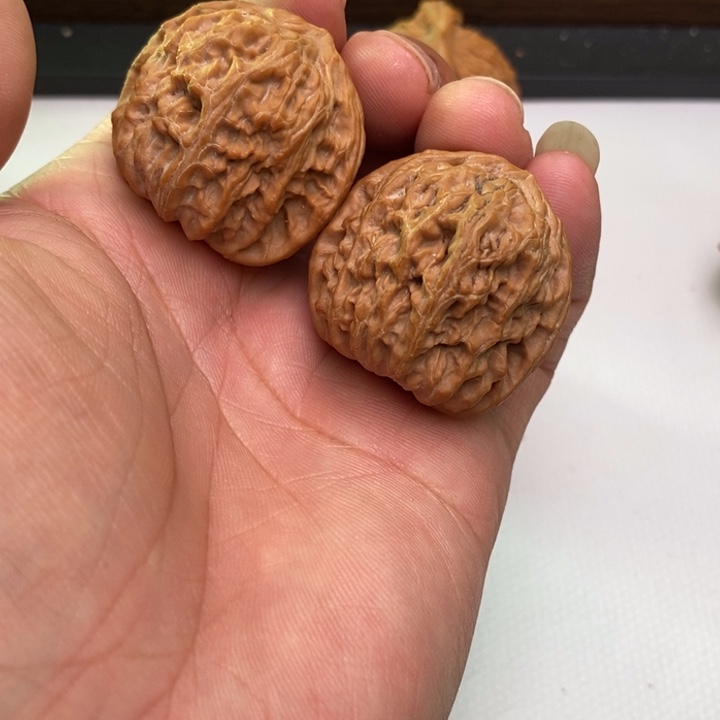 三角白狮子头36尺寸