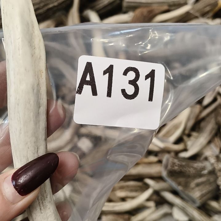 熊****鹿角鹿角鹿角鹿角鹿角