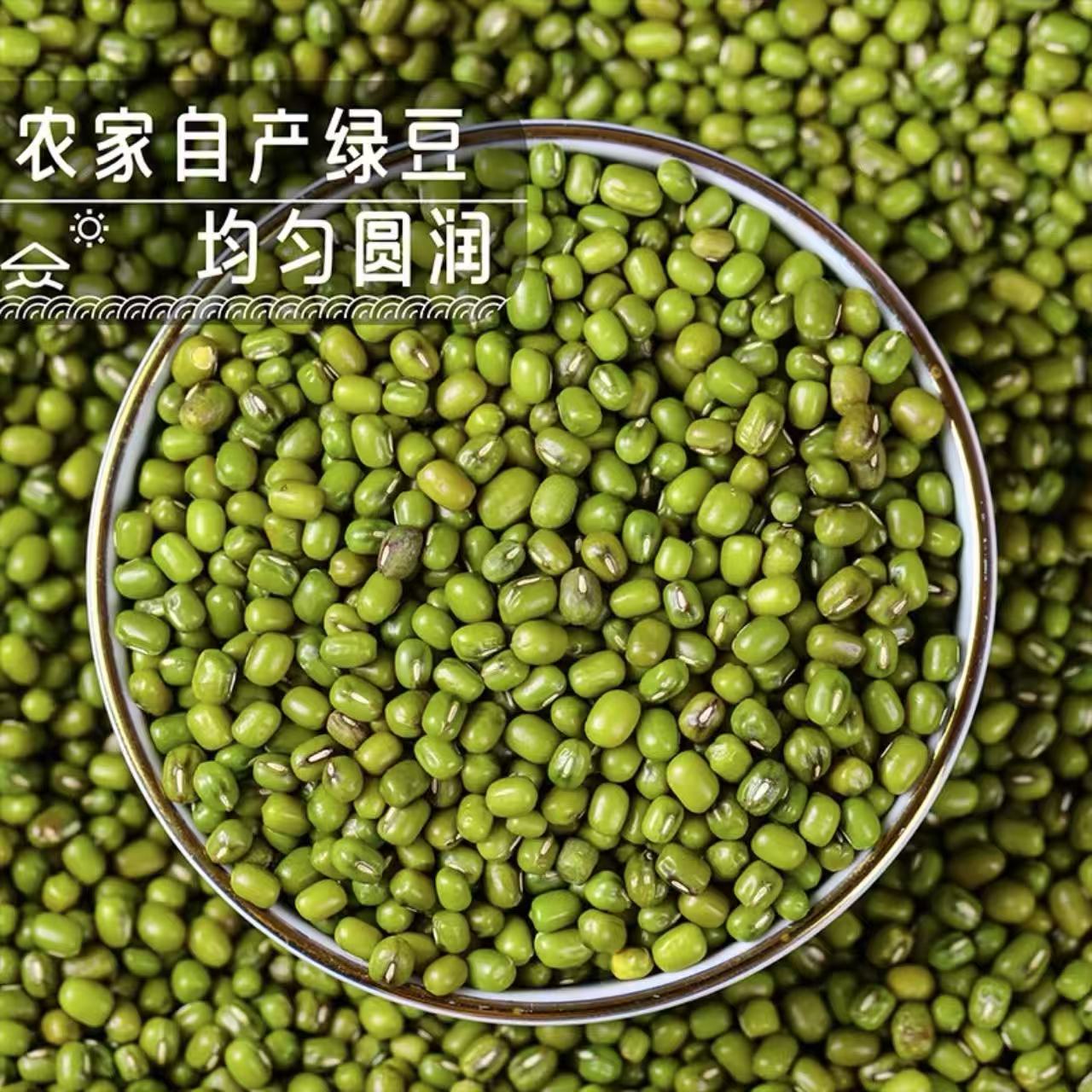 【郑书记助农】绿豆农家自产25新豆皮薄绿豆汤材料易出沙