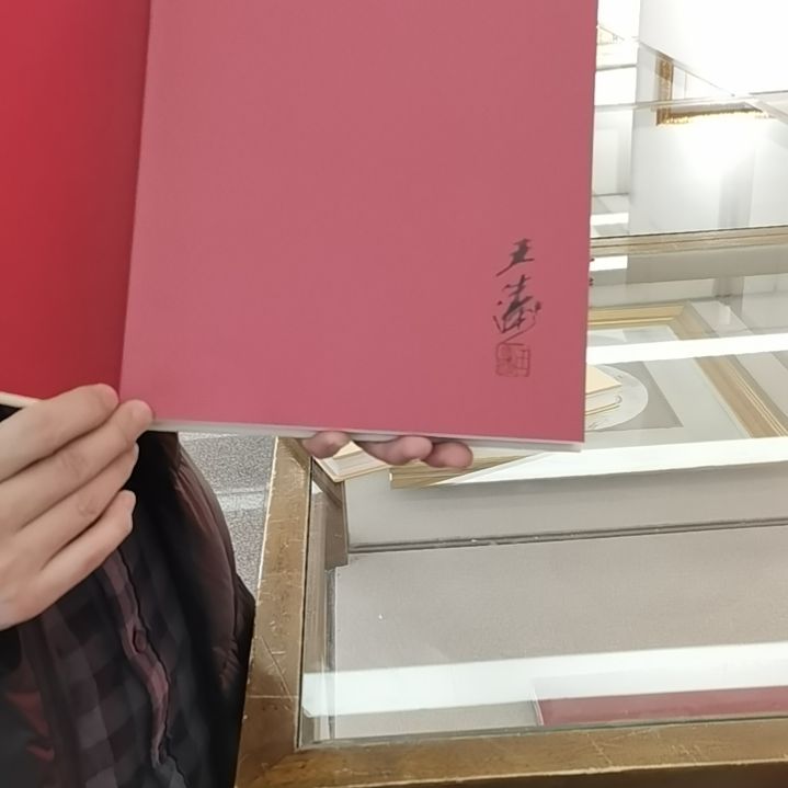 书法王涛人物作品集