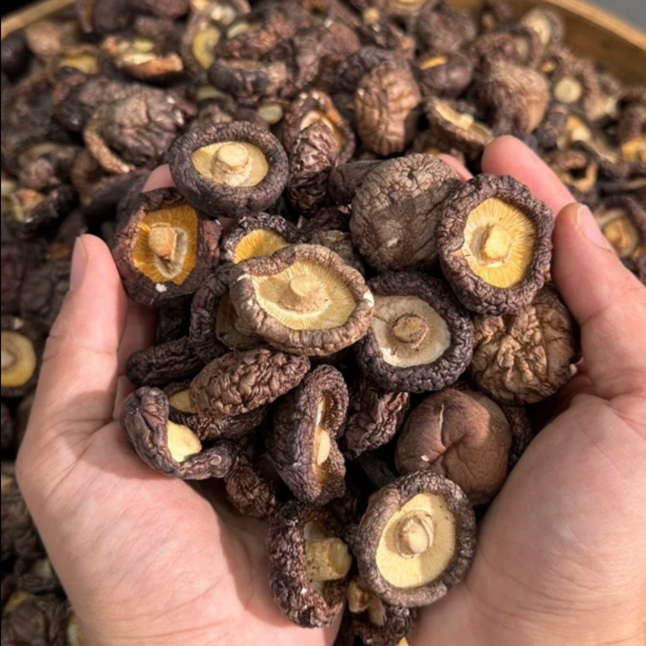 建国干货冬菇菌菇干香菇，优质香菇肉厚十足干货卷叶门夹猫后续