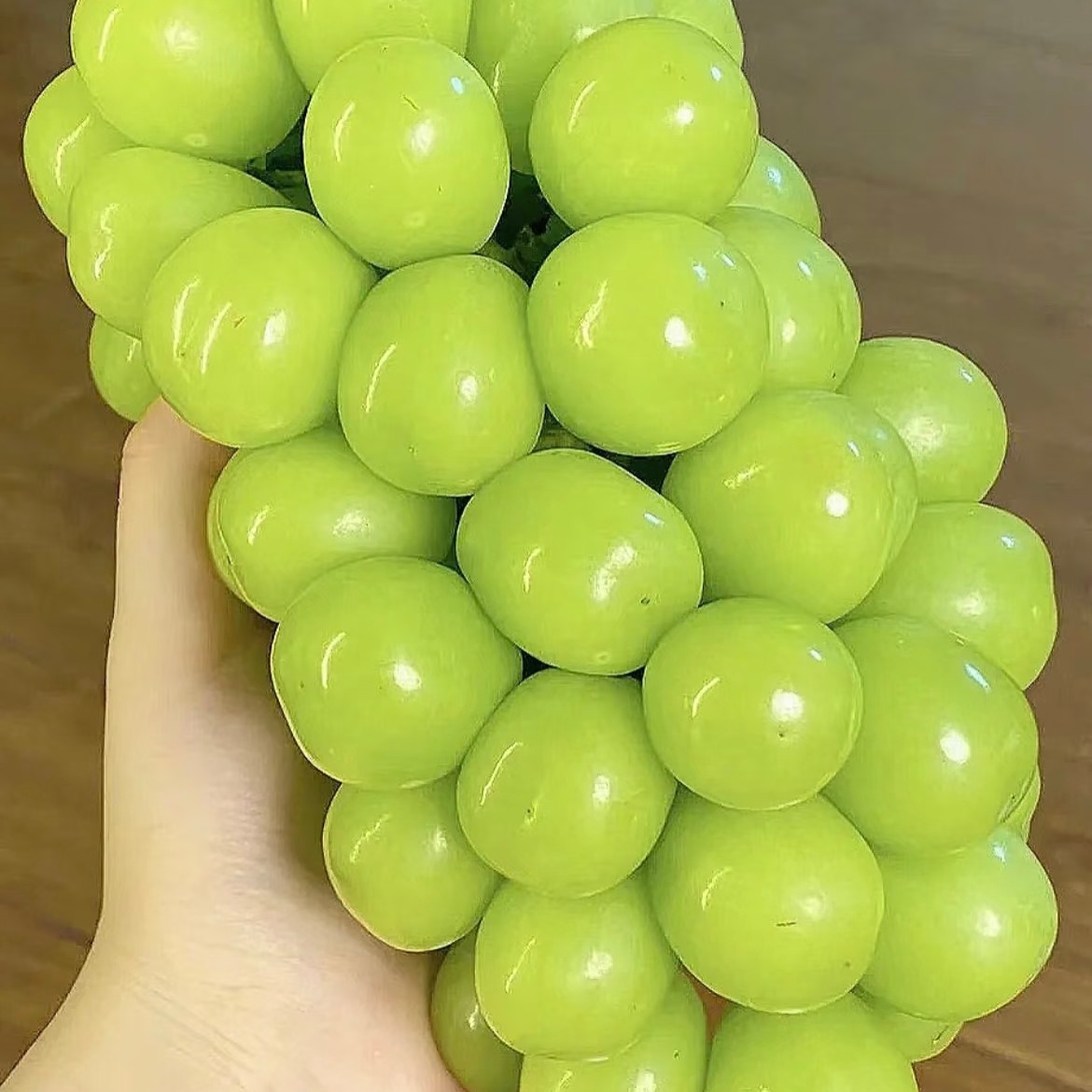 阳光玫瑰葡萄1000g/盒，香甜可口，无籽脆甜云南省
