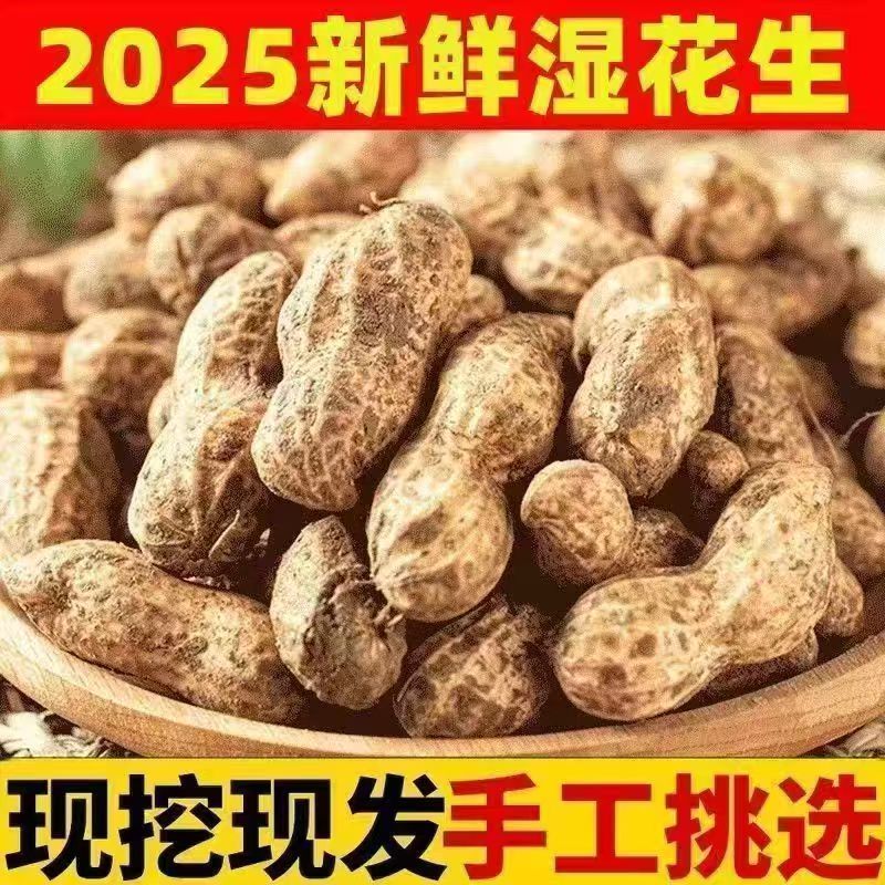 【纯手工三次挑选】新鲜现挖带壳湿花生可水煮生吃农家人工挑选