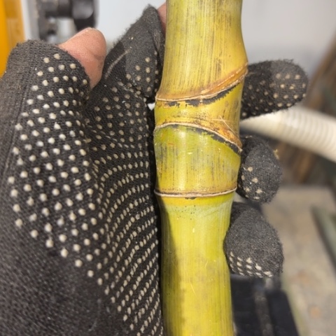 小***点实心竹竹竹竹竹竹竹竹竹