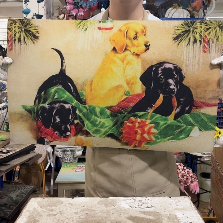 核桃木/黑胡桃（胡桃木）