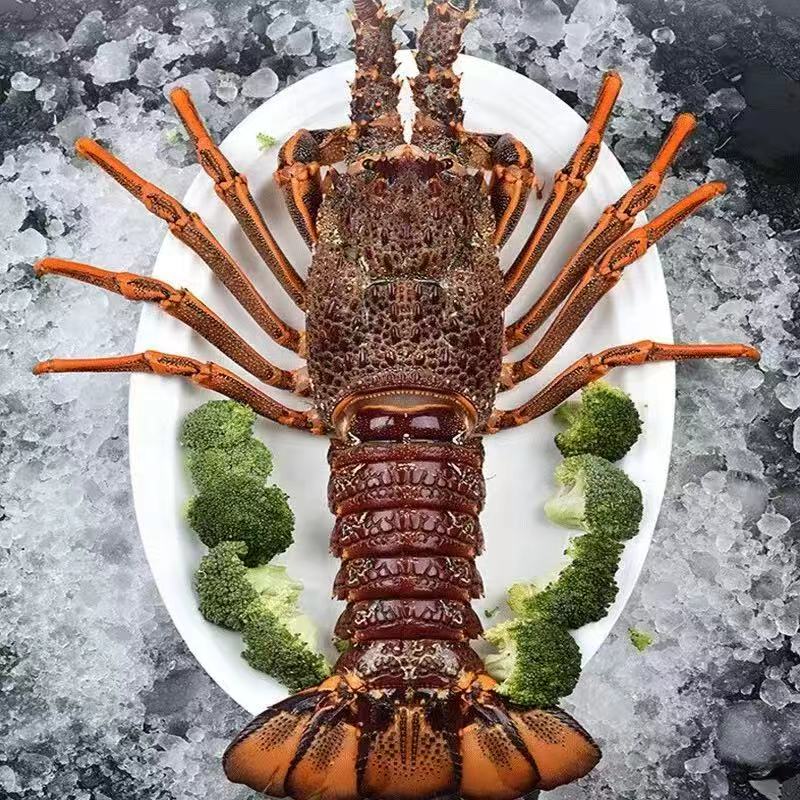 不包邮一物一拍富贵虾鳌虾零食礼包