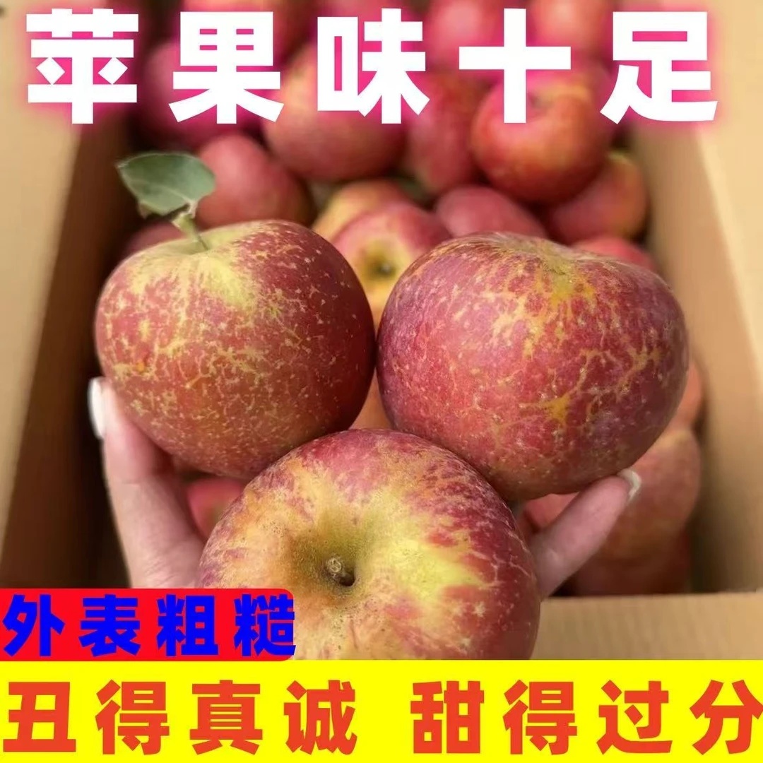 【大凉山丑苹果】正宗冰糖心丑苹果新鲜当季现摘脆甜多汁