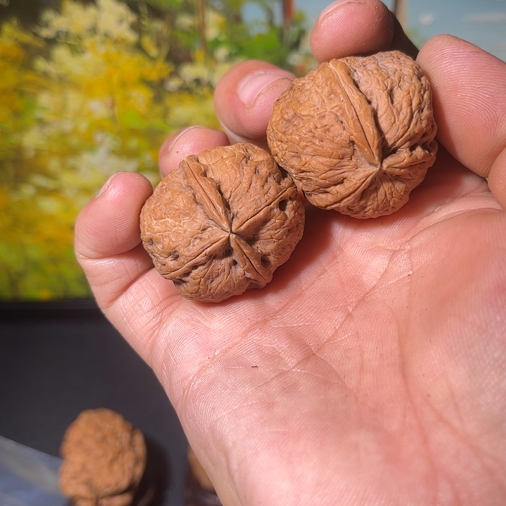 雨***行吊坠文玩核桃滇西17