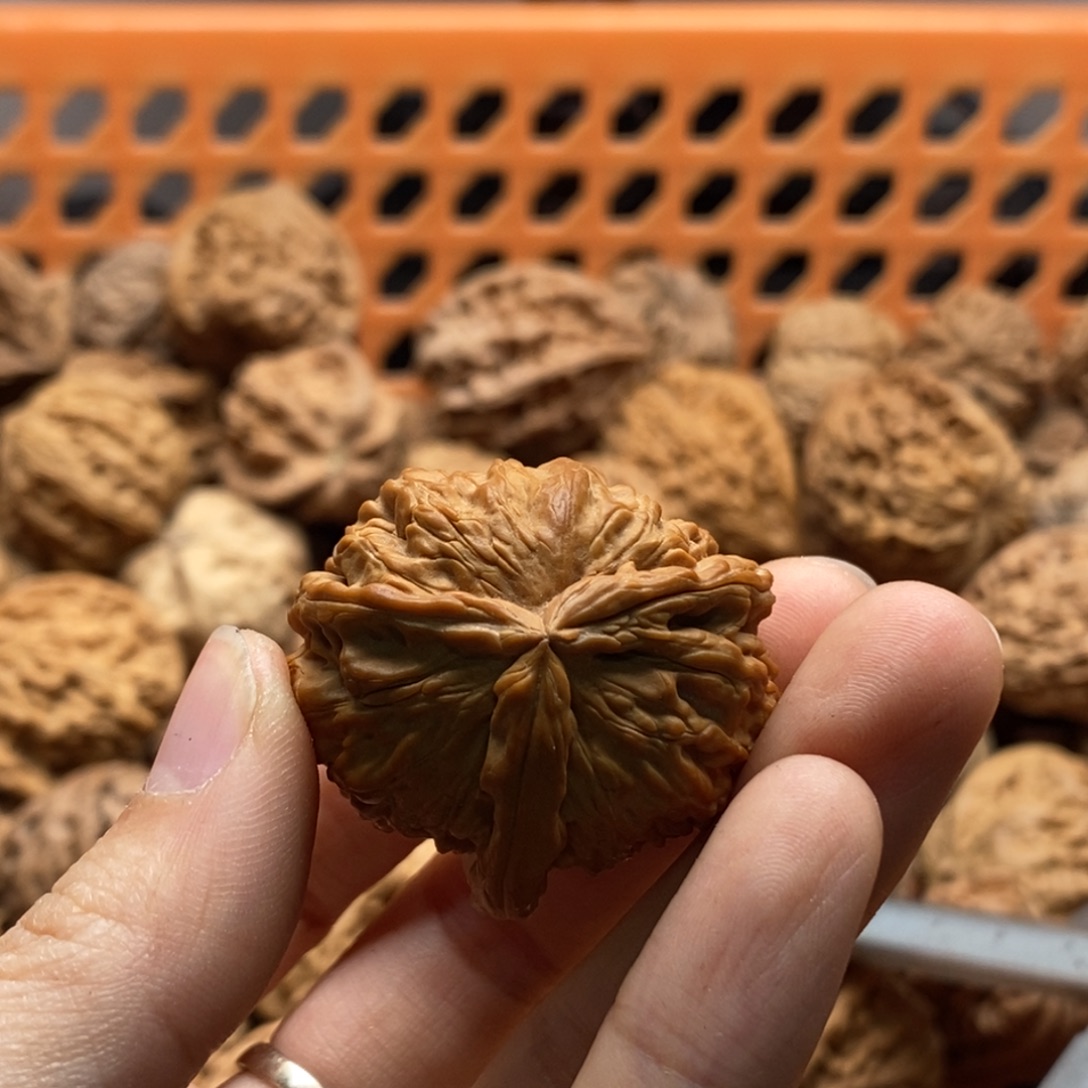 保***馆核桃定制商品不退不换