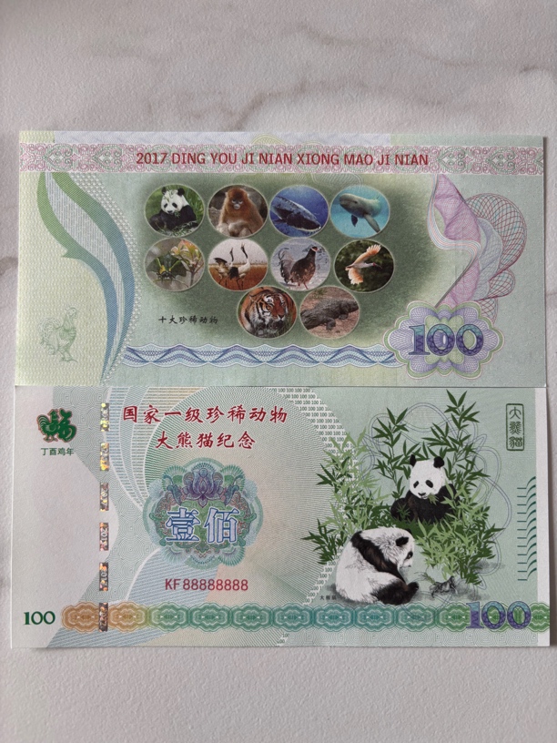 熊猫珍惜动物纪念荧光券漂亮可爱熊猫礼品纪念品
