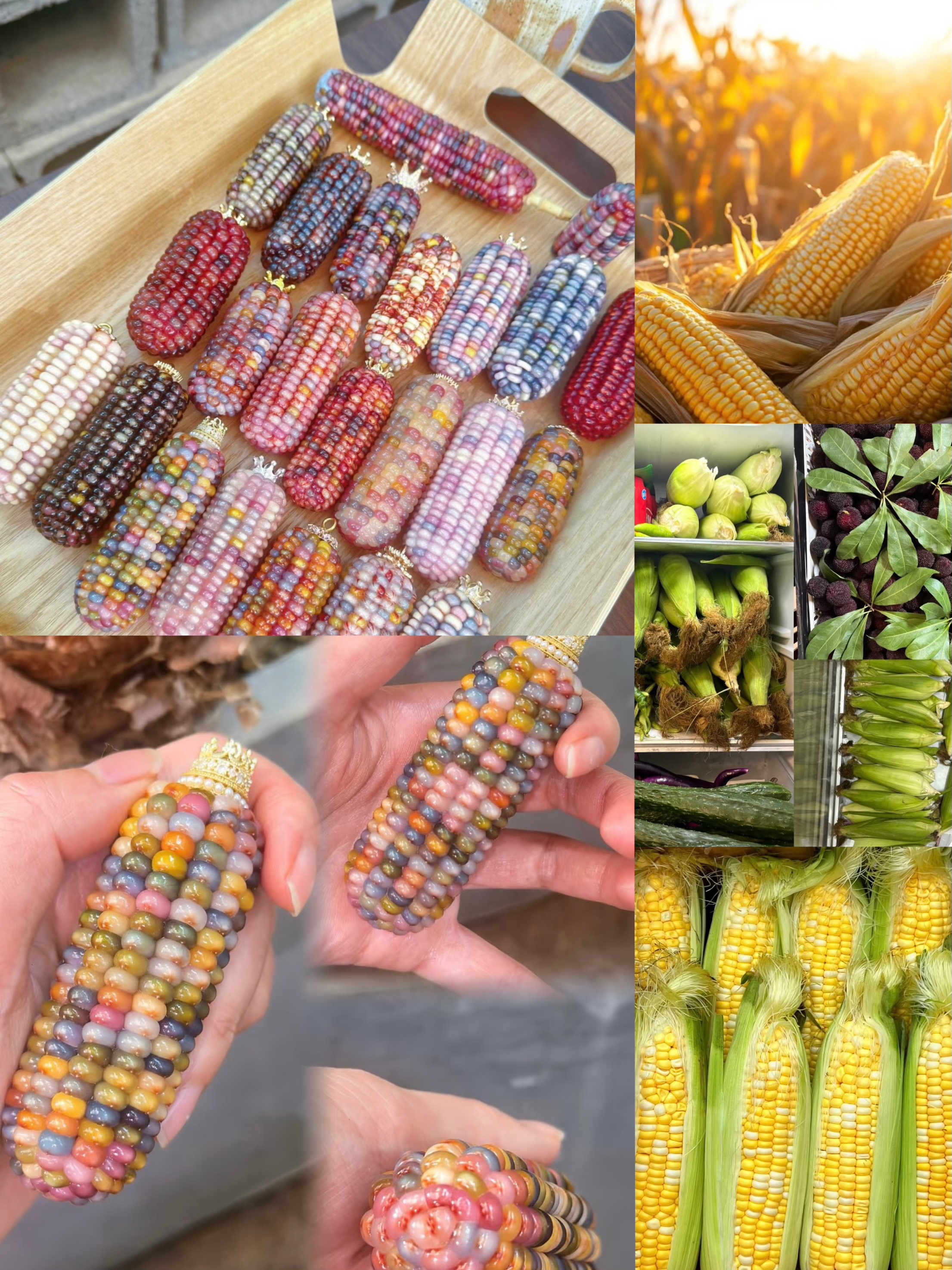 玉米农产品边境孟公子专用链接