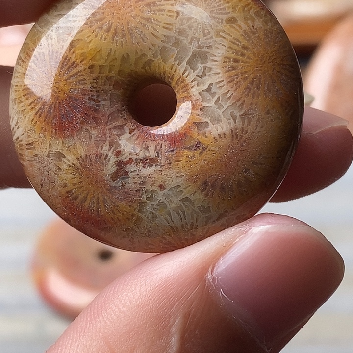 海***伦硅化玉未镶嵌颈饰