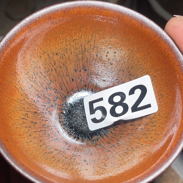 茶盏参加政协九大582次代表的