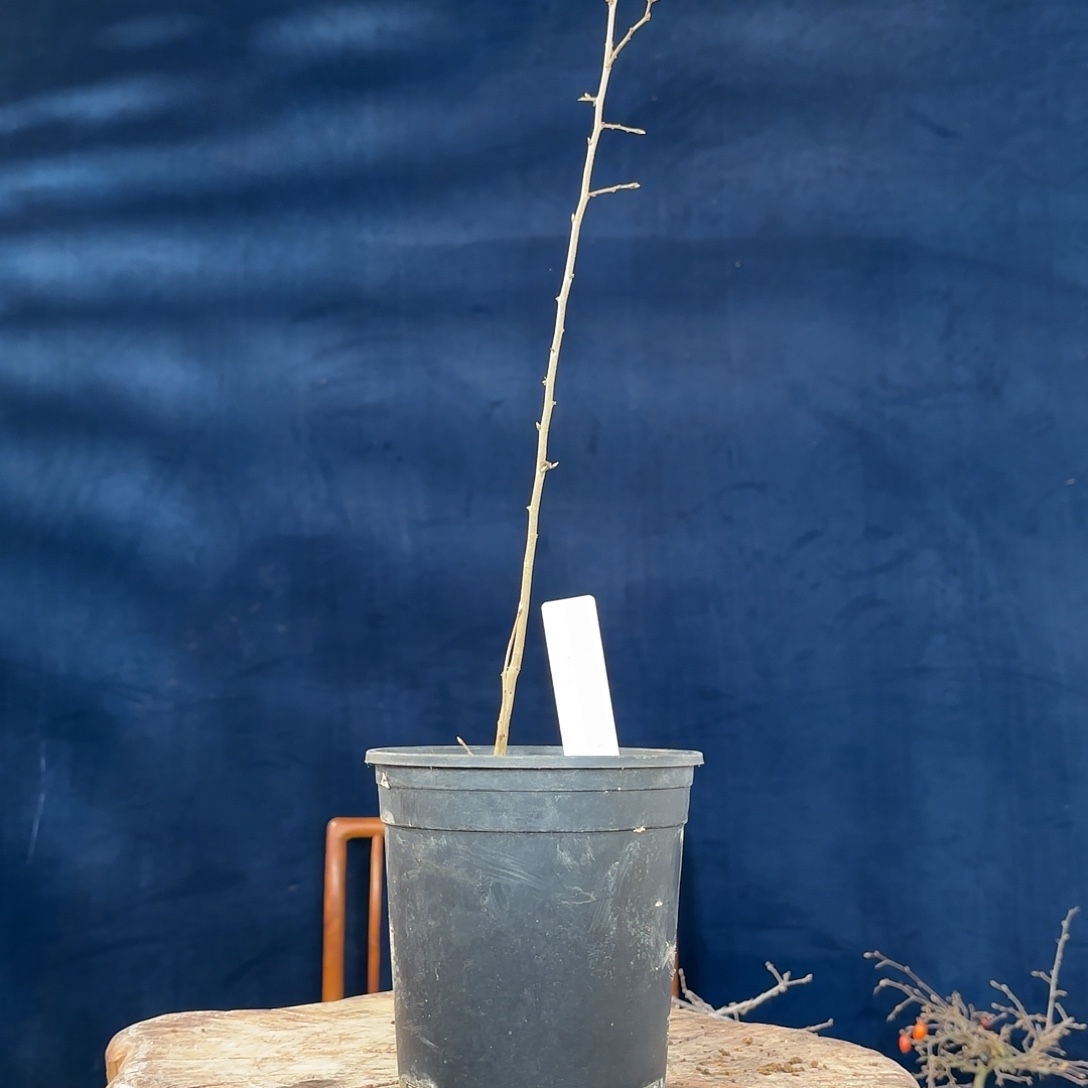 王***k哈哈哈哈哈哈哈哈哈哈