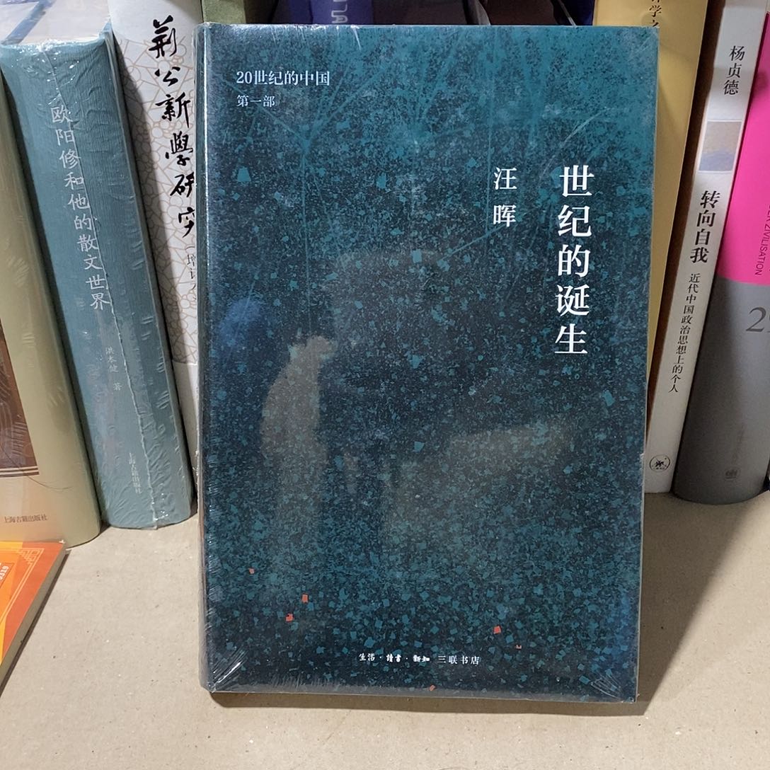 20世纪的中国 世纪的诞生