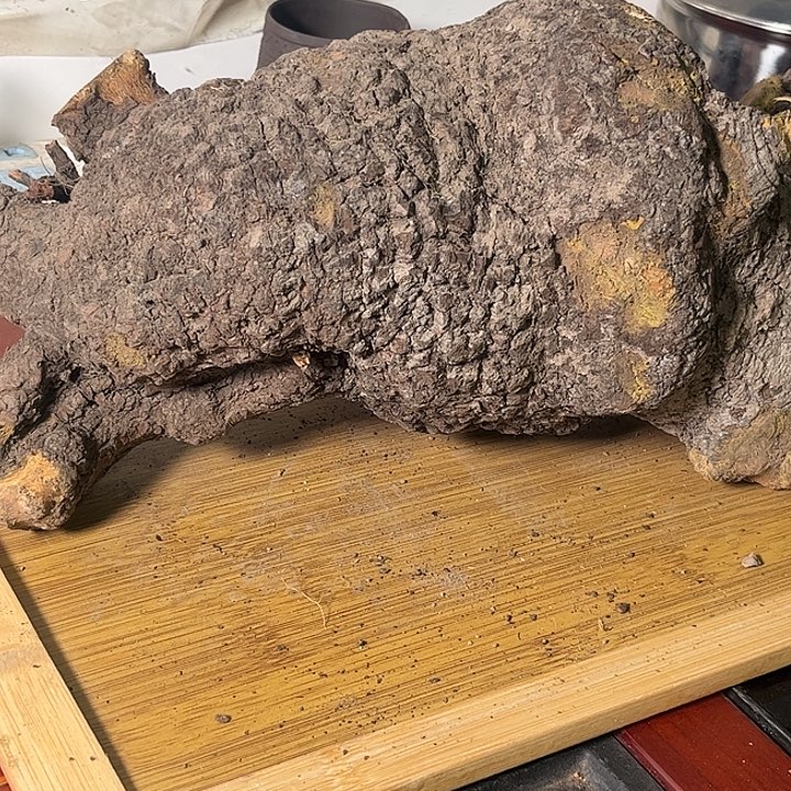 真***诚香榧木我，我的确是个很喜欢的人